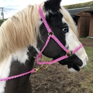 Paracord lavable en laiton <span class=keywords><strong>triangle</strong></span> cheval collier en cuir bride corde licous cheval colliers - Product Image 6