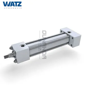 German Watz hydraulic cross pull cylinder ZIA-100/70-250-MP5-DB-A-GK63 standard pull rod cylinder
