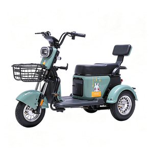 Tricycle électrique 2 places pour adultes avec panier, 48V 351-500W, usage passagers, carrosserie ouverte, couleur vert menthe - Product Image 5