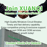 Saklar Pengalih Generator 2P 4P 125A ATS Saklar Transfer Otomatis Daya Ganda untuk Generator