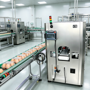Système d'inspection automatique des codes de date sur les boîtes en plastique pour œufs, avec vision artificielle et OCR, capacité de 6000 pièces par heure - Product Image 3