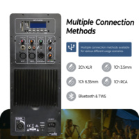 Module d'amplificateur de puissance actif monocanal de classe AB Accuracy Pro Audio 15AFH-150W pour enceinte