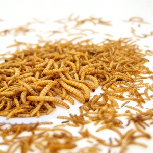 <span class=keywords><strong>Gusanos</strong></span> de harina secos a granel para alimentación de aves, suplemento proteico de grillo, <span class=keywords><strong>gusanos</strong></span> para pollos, peces, hámsteres, loros y pájaros - Product Image 4