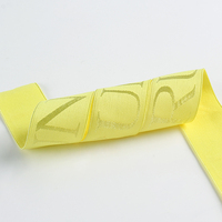 Bandes Jaquaerd élastiques de luxe personnalisées Bande élastique imprimée pour sous-vêtements