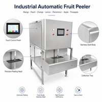 Industriële mango-perzik-sinaasappel-citroen-persimmon-appel automatische fruitenschiller ananas-schilmachine
