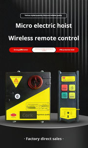 Высокочувительный беспроводной пульт дистанционного управления на 2/4/6 направлений для мини-электрической лебедки 220В/110В/380В - Product Image 6