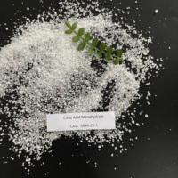 Acide citrique monohydraté de qualité alimentaire 99,5% BP USP pour acidifiant de boissons