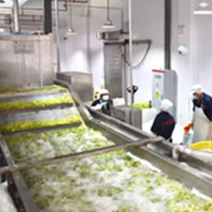 Línea automática de procesamiento de frutas y verduras congeladas, <span class=keywords><strong>brocolli</strong></span> congelado, zanahoria, coliflor, línea de producción - Product Image 1