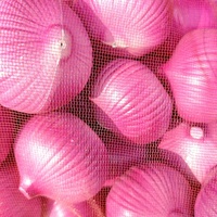 Sac en plastique réutilisable et respirant pour le stockage des fruits et légumes Mono Mesh Bag