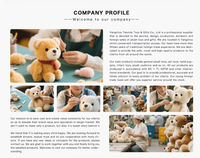 Estuche de Lápices con Diseño de Oso de Peluche Personalizado, OEM ODM, Juguete de Peluche Suave con Bufanda Azul para Niños