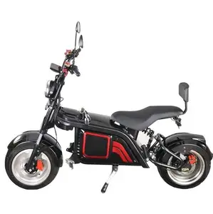 2 koltuk 60V 1000W güçlü Motor uzun menzilli 2 tekerlekli elektrikli scooter