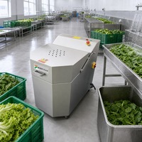 RVS Saladeslinger Fruit- en Groentespinner Centrifugale Droger Ontwateringsmachine Groentedroger