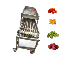 Fruit Automatische Sorteermachine Apple Mango Sorteerder Cherry Tomaat Grootte Sorteermachine