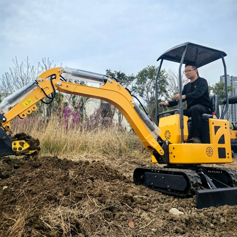 Factory Direct Sale Mini Excavator Earth