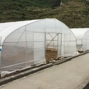 Schlussverkauf günstige Tomaten landwirtschaftliche Kunststofffolie Überzug Tunnel Gewächshaus für Gemüse