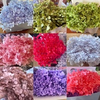 2022 Grosir Hydrangea Sentuhan Nyata Buket Bunga Kepala Hortensias Semak Ungu Kering Diawetkan Hydrangea