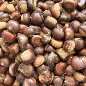 Castañas Naturales Crudas a Granel, Suministro de Dandong Tai'an, Castañas Chinas <span class=keywords><strong>Castanea</strong></span> para Guisos, Rellenos y Asados - Product Image 1