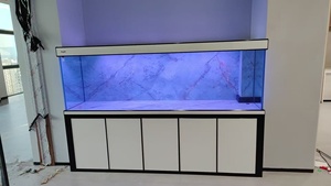 <span class=keywords><strong>Aquarium</strong></span> sur mesure en verre grand format, ultra transparent, haute transparence, directement de l'usine, pour la maison, le bureau, utilisation en intérieur - Product Image 2