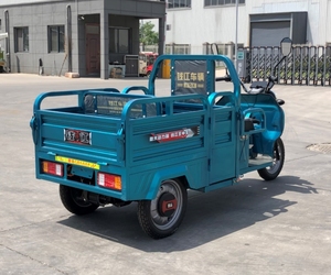 Hot Sale 1000W Electric Passenger Vehicle <strong>Open</strong> Box Design with Big <strong>Space</strong> 60v Voltage <strong>Open</strong> Body Electric Tricycle in Uzbek - Product Image 2