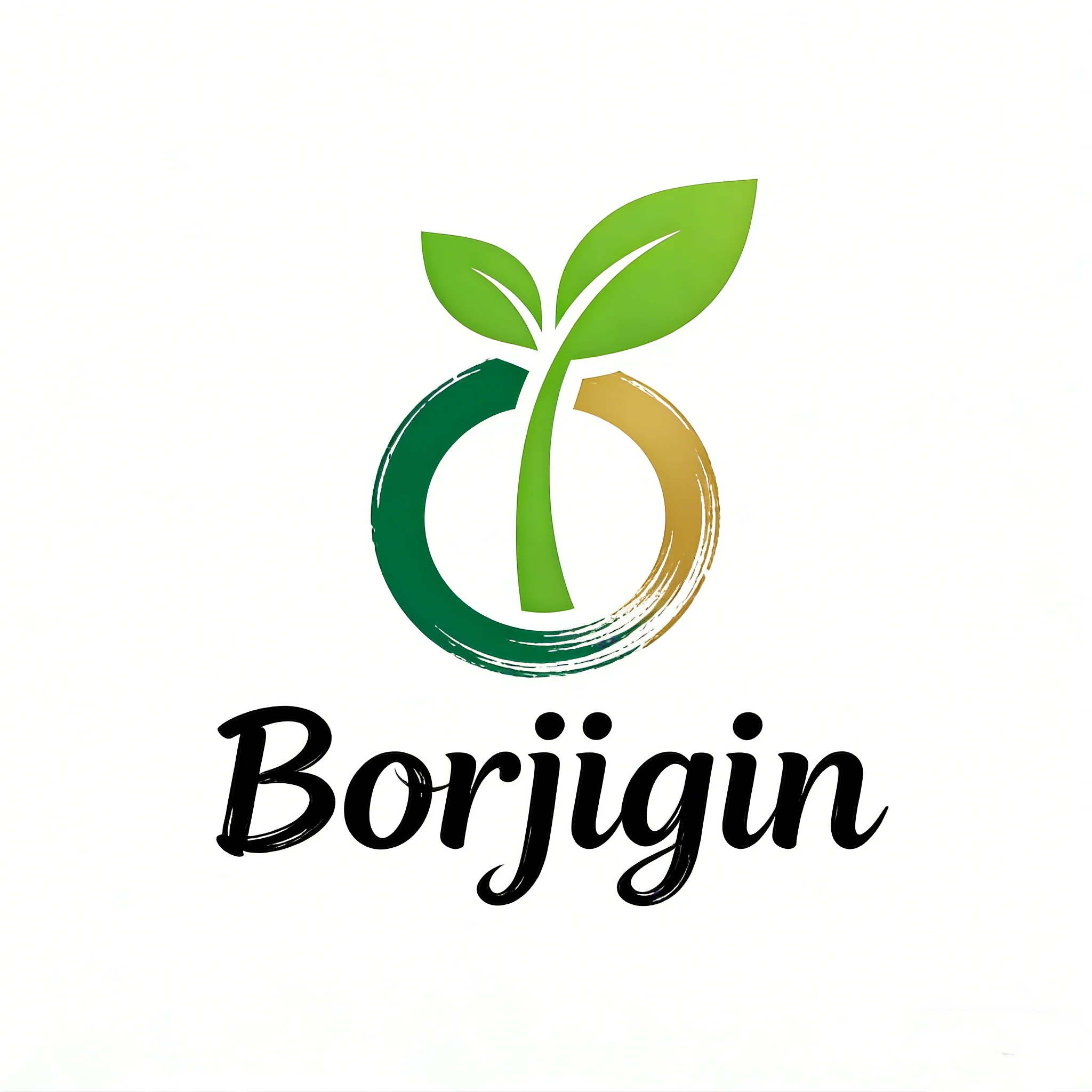 Zhengzhou Borzhijin Trading Co., Ltd. logo