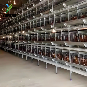 Sistema di allevamento moderno a 30000 strati per pollame, con gabbie a batteria a H per galline ovaiole e illuminazione - Product Image 5