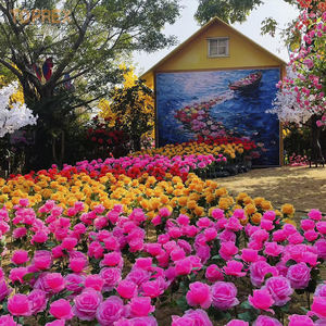 Toprex, профессиональные мероприятия, украшения, заколдованный лес, светодиодная лампа в виде цветка розы для улицы, День Святого Валентина, декоративные огни - Product Image 1