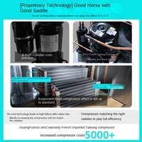 Congélateur vertical commercial en acier inoxydable, refroidi par air, sans givre, congélation rapide à -80 degrés, monotempérature