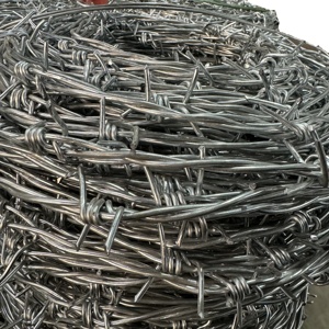 Mạ kẽm thép carbon thấp dây thép gai lưới bảo vệ an ninh hàng rào tùy chỉnh - Product Image 3