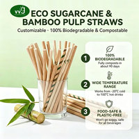 Pailles à boire en fibre de bambou biodégradables et compostables VVG, pailles à boba personnalisées en papier, emballées individuellement pour le thé à bulles et le café
