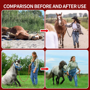 Soins aux chevaux Animaux Arthrite Soulagement de la douleur Personnalisable Horse Therapy Blanket - Product Image 4