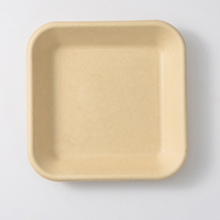Vaisselle carrée jetable en bagasse de canne à sucre Plateau alimentaire écologique pour fruits et légumes pour supermarchés