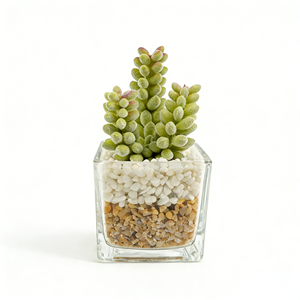 Plante artificielle réaliste à 3 têtes de baies succulentes, faux fruits dans un pot en verre avec galets, décoration naturelle pour la maison - Product Image 1