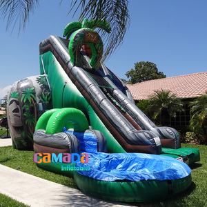 Patio trasero Niños Kid Slides <span class=keywords><strong>Castillo</strong></span> saltador hinchable Bouncing Jeux De Toboggan Aquatique Coconut Falls Tobogán acuático inflable - Product Image 3