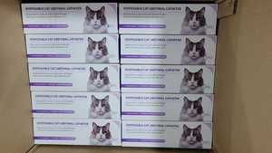 Dokter Hewan sekali pakai 1.0mm 1.3mm kateter urin kucing untuk Tom kucing kateter urin untuk hewan strip tes untuk penggunaan dokter hewan - Product Image 2
