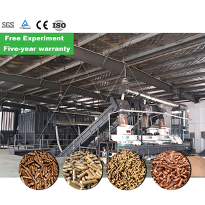 Línea de producción de pellets de biomasa de 1 tonelada de bajo costo Línea de producción de pellets de aserrín de madera Máquina de prensa de biomasa - Product Image 2