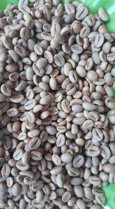 เมล็ดกาแฟผลิตถั่วเขียวเชิงพาณิชย์เมล็ดกาแฟอาราบิก้าโรบัสต้าขายส่งจากเวียดนาม-WHATSAP 0084989322607 - Product Image 2