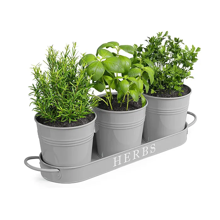 Boerderij Kruidentuinplanter Indoor Planter Set Met Dienblad Of Buitenappartement Raamplanter