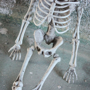 <span class=keywords><strong>D</strong></span>écoration de maison animée <span class=keywords><strong>d</strong></span>'accessoires de fête squelette <span class=keywords><strong>d</strong></span>'Halloween grandeur nature - Product Image 4