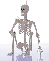 Esqueleto de Halloween de 165 cm (5 pies) Personalizable, Huesos Humanos de Plástico con Articulaciones Móviles para Casas Encantadas, Fiestas y Decoración de Jardines
