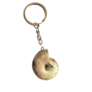 Porte-clés Fossile d'Ammonite de Madagascar, Demi-tranche Polie, Spécimen de Coquille de Nautilus, Cristal, Pendentif de Sac pour Cadeau Souvenir - Product Image 5
