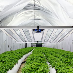 Jk Thương hiệu <span class=keywords><strong>LED</strong></span> phát triển ánh sáng quang phổ đầy đủ loại 720W Samsung lm281b <span class=keywords><strong>Led</strong></span> nhà máy phát triển đèn nhà kính growlights - Product Image 2