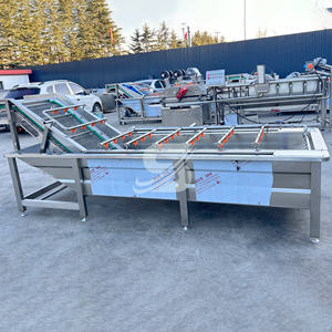 Cinta transportadora <span class=keywords><strong>de</strong></span> ozono comercial, lavadora <span class=keywords><strong>de</strong></span> brotes <span class=keywords><strong>de</strong></span> soja, lavadora <span class=keywords><strong>de</strong></span> arándanos, máquina <span class=keywords><strong>de</strong></span> limpieza <span class=keywords><strong>de</strong></span> <span class=keywords><strong>aguacate</strong></span> - Product Image 3