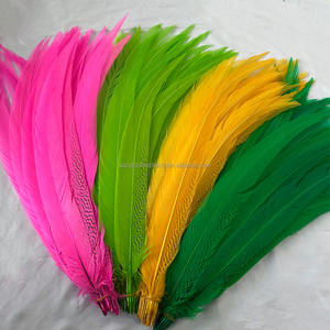 Plumas <span class=keywords><strong>de</strong></span> Faisán Plateadas Teñidas al por Mayor <span class=keywords><strong>de</strong></span> 24-26 Pulgadas (60-65 cm), Plumas <span class=keywords><strong>de</strong></span> Faisán Plateadas Verdes Largas en <span class=keywords><strong>Venta</strong></span> - Product Image 3