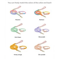 Luxe classique élégant Simple solide motif collier de chien laisse ensemble personnalisé écologique coton corde tressé Paracord cuir
