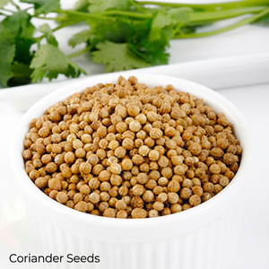 Coriandre d'Inde en Grains Entiers Séchés 100% Naturelle du Gujarat Durée de Conservation de 12 Mois Nouvelle Récolte Épice Aromatique en Gros - Product Image 1