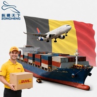 Servicio Puerta a Puerta FedEx DHL de China a Bélgica, Agente de Transporte Aéreo y Marítimo LCL FCL, Logística Internacional