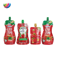 Contenants en plastique pour ketchup de qualité alimentaire avec logo imprimé sur mesure, emballage pour sauce tomate, sachet à bec verseur
