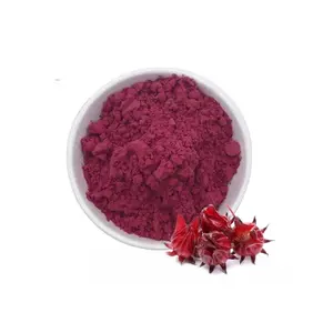 Approvisionnement en usine en gros Roselle Hibiscus fleur poudre Hibiscus poudre