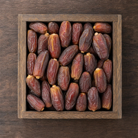 Dattes saoudiennes de qualité supérieure, dattes séchées naturelles Kurma, vente en gros de dattes saoudiennes