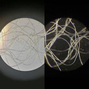 Juego de Placas de Campo Oscuro para Microscopio OPTO-EDU A5D.0001 - Product Image 4